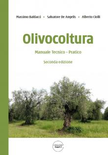 Baldacci_copertina_fronte.jpg